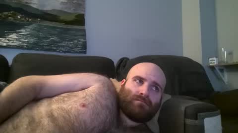 Hairiest Bear online show from 01-21-25, 04:54