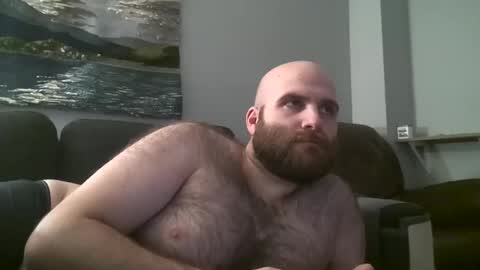 Hairiest Bear online show from 01-25-25, 08:53