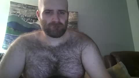 Hairiest Bear online show from 02-17-25, 11:34