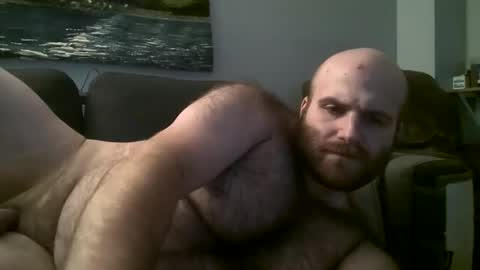 Hairiest Bear online show from 03-02-25, 08:16