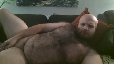 Hairiest Bear online show from 10-07-25, 03:58