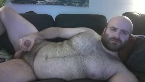 Snapshot of hairiestbear chatting on 03-08-26, 04:38 Hairiest Bear online show from 03-08-26, 04:38