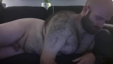 Hairiest Bear online show from 07-08-26, 07:02