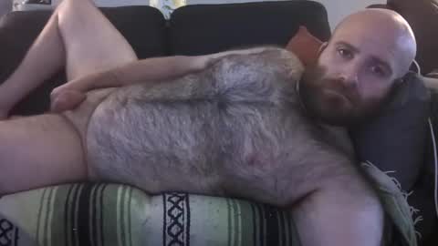 Hairiest Bear online show from 07-23-26, 12:36