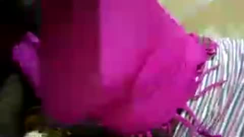 Snapshot of hairy_africanbae chatting on 07-12-26, 10:01 hairy_africanbae online show from 07-12-26, 10:01