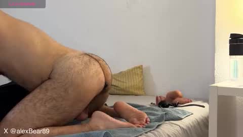 Snapshot of hairyarabbear chatting on 12-02-25, 11:34 hairyarabbear online show from 12-02-25, 11:34