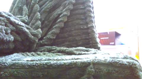 Snapshot of hairyhornytwinkk chatting on 11-14-25, 10:36 HairyHornyTwinkk online show from 11-14-25, 10:36