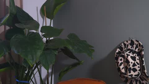 Snapshot of hairyrobxxx chatting on 09-20-25, 10:05 HairyRobXxX online show from 09-20-25, 10:05