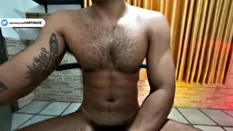 Snapshot of hairyshort chatting on 01-27-25, 03:18 hairy and short online show from 01-27-25, 03:18