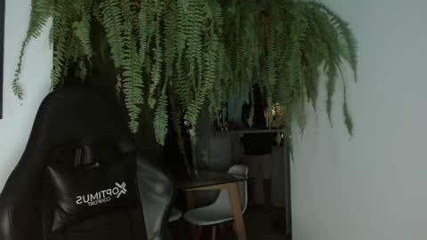 halan online show from 02-26-25, 06:47