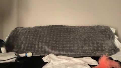 Haley Wood online show from 07-29-26, 07:28