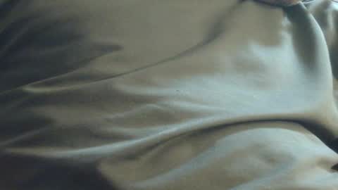 Snapshot of hamhead71 chatting on 12-01-24, 11:58 hamhead71 online show from 12-01-24, 11:58