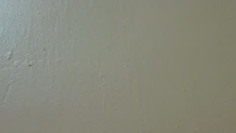 Snapshot of hamhead71 chatting on 02-04-25, 09:52 hamhead71 online show from 02-04-25, 09:52