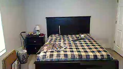 hammerthatthang73 online show from 05-17-26, 11:28