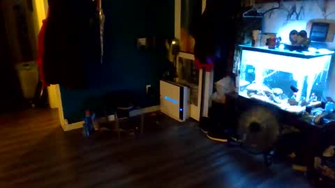 handsomerob42 online show from 05-18-26, 06:25