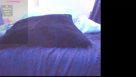 Snapshot of handyman732438 chatting on 03-05-26, 11:28 handyman732438 online show from 03-05-26, 11:28