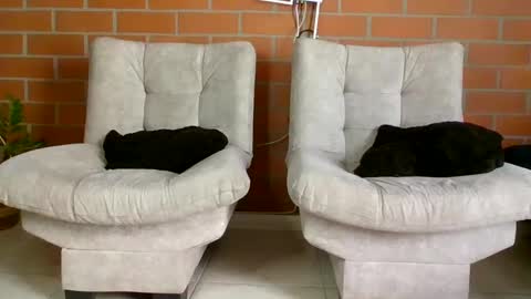 hanna online show from 01-20-25, 06:32