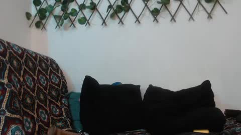 Snapshot of hannafalls chatting on 01-12-25, 04:00 SARA online show from 01-12-25, 04:00