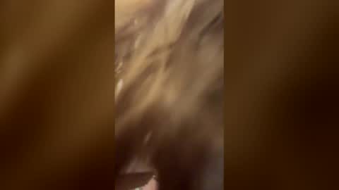 hansywake online show from 04-26-26, 03:32