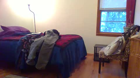 Hardy-Har online show from 12-01-25, 10:26