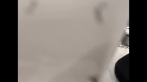 hardandhorny422 online show from 10-12-25, 12:59