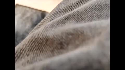 hardandhorny422 online show from 10-30-25, 11:55