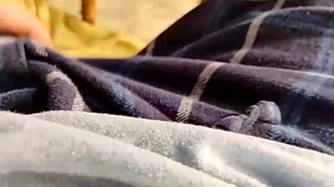 hardandhorny422 online show from 11-30-25, 04:33