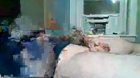 cervixpainter25 online show from 11-30-25, 06:50