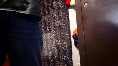 Snapshot of hardfastandrough chatting on 02-08-26, 02:59 Funsize online show from 02-08-26, 02:59