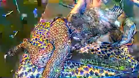 Snapshot of hardfucking_mistress chatting on 02-02-25, 12:46 Irina online show from 02-02-25, 12:46