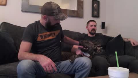 hardworkertn online show from 04-06-26, 05:25