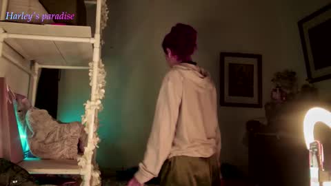 Snapshot of harleyparadise chatting on 11-29-25, 06:49 900 am to 300 pm - GTM 5 Weekdays online show from 11-29-25, 06:49