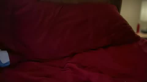 Snapshot of haroldhaller chatting on 10-23-25, 02:05 Harry H online show from 10-23-25, 02:05