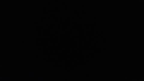 Snapshot of harry_reems_ chatting on 01-23-25, 06:45 OMAR online show from 01-23-25, 06:45