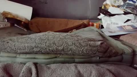 hartl1112 online show from 12-04-25, 10:24