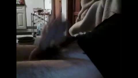 havier282874 online show from 04-15-26, 09:37