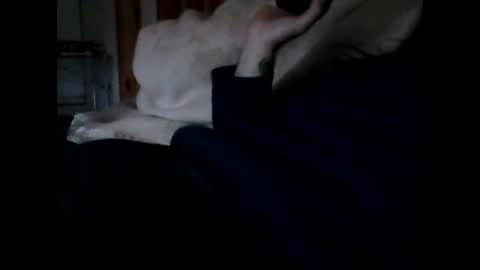 Snapshot of havier282874 chatting on 05-05-26, 05:26 havier282874 online show from 05-05-26, 05:26