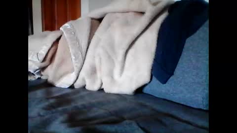 havier282874 online show from 06-09-26, 04:57