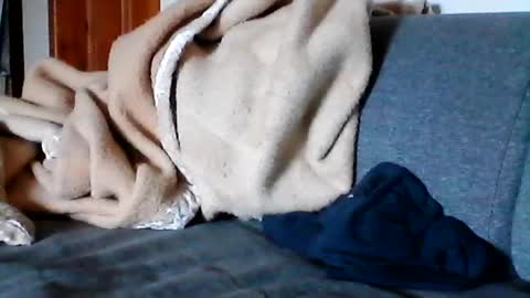 havier282874 online show from 06-17-26, 08:06