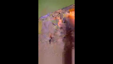 Snapshot of hawks2113 chatting on 04-27-26, 09:40 hawks2113 online show from 04-27-26, 09:40
