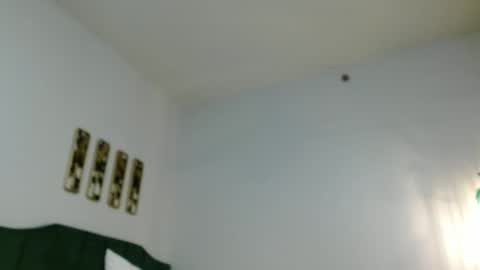 Hazel online show from 12-29-24, 01:49