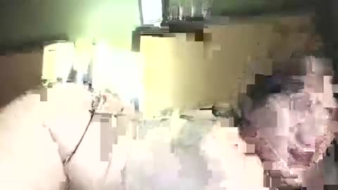 hazelbasil32728 online show from 10-31-25, 11:39