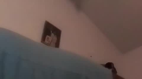 hbdj2164 online show from 12-17-24, 10:34