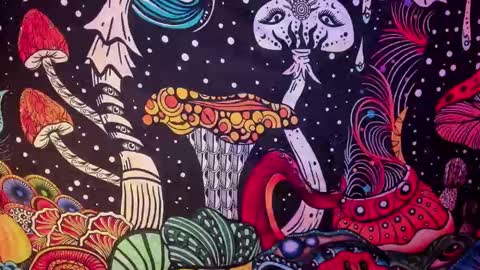   online show from 02-26-25, 07:42