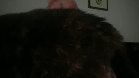 Snapshot of hell0kittyblood chatting on 03-02-25, 02:32 Bunnie Rotz online show from 03-02-25, 02:32