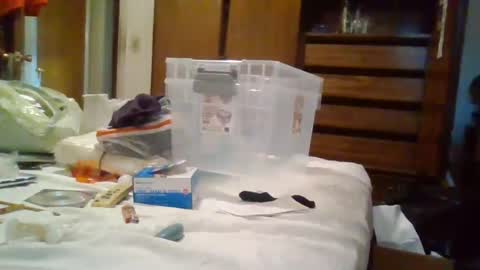 Roxanne online show from 07-29-26, 11:25
