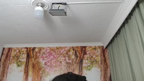 Snapshot of hellen_garcia chatting on 12-19-24, 02:13 Hellen online show from 12-19-24, 02:13