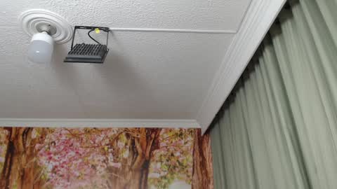 Snapshot of hellen_garcia chatting on 01-23-25, 09:07 Hellen online show from 01-23-25, 09:07