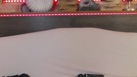    online show from 02-22-25, 07:12