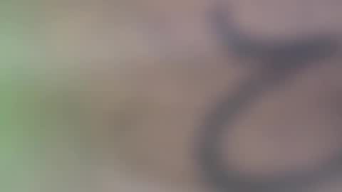 Snapshot of hellohowareyou66 chatting on 11-29-25, 06:11 hellohowareyou66 online show from 11-29-25, 06:11